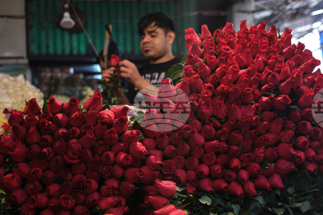 Mexico Valentine's Day