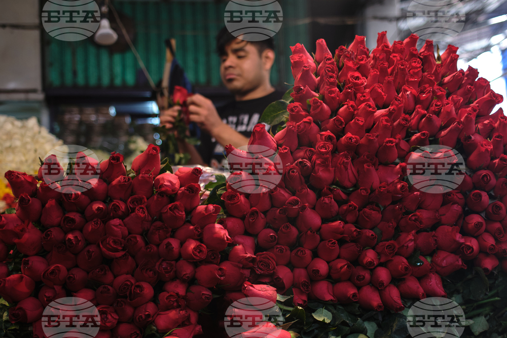 Mexico Valentine's Day