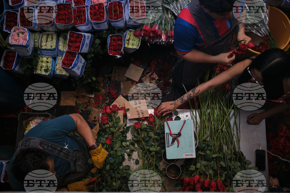 Mexico Valentine's Day