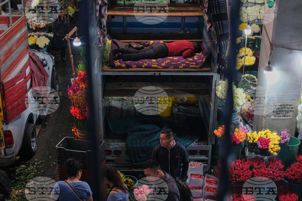 Mexico Valentine's Day