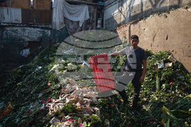 Mexico Valentine's Day