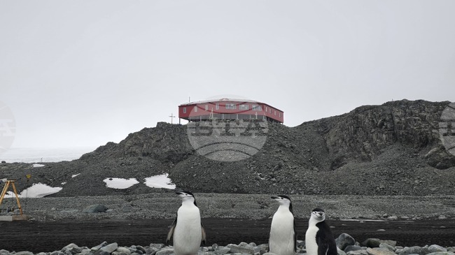 Част от екипажа на научноизследователския кораб "Св. св. Кирил и Методий" ще посети днес българската антарктическа база 