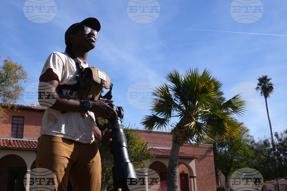 Valentine's Day Lovebirds