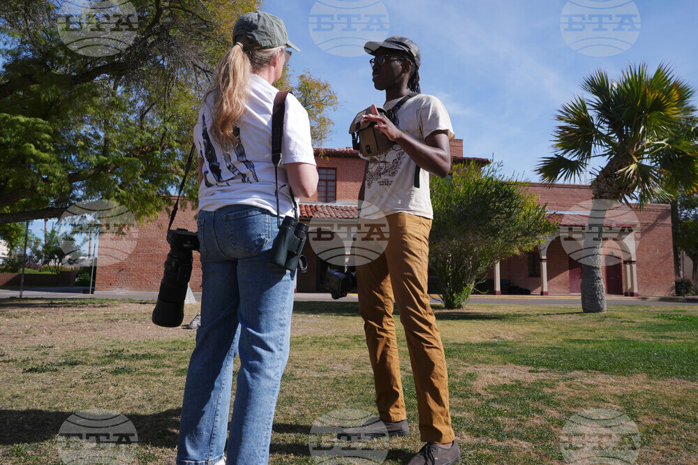 Valentine's Day Lovebirds