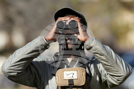 Valentine's Day Lovebirds