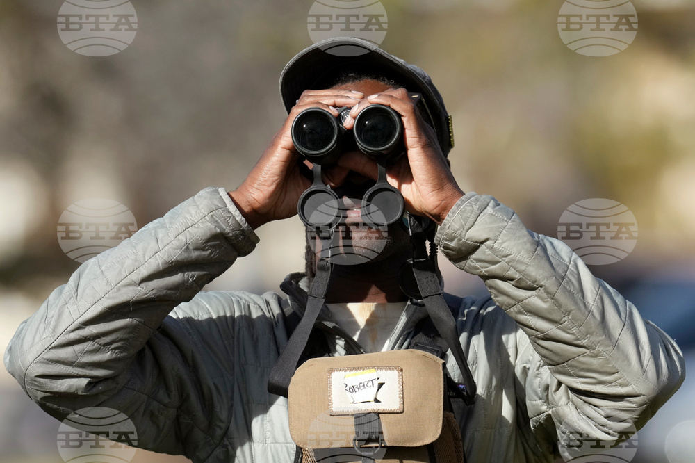 Valentine's Day Lovebirds