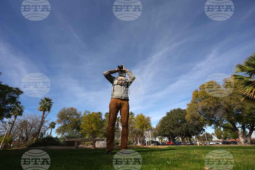 Valentine's Day Lovebirds
