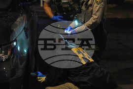 Savannah Guthrie Mom Missing