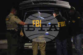 Savannah Guthrie Mom Missing