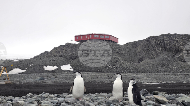 RSV 421 Crew to Visit Bulgaria’s Antarctic Base, Scientific Projects Continue on Livingston Island