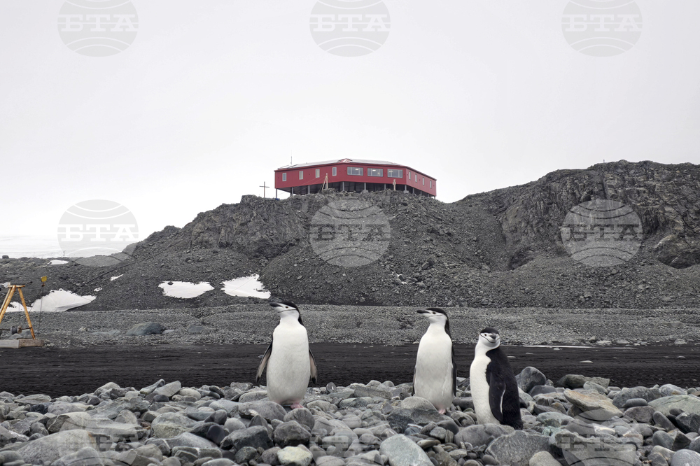 RSV 421 Crew to Visit Bulgaria’s Antarctic Base, Scientific Projects Continue on Livingston Island