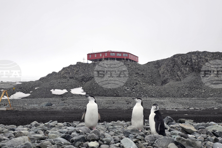 RSV 421 Crew to Visit Bulgaria’s Antarctic Base, Scientific Projects Continue on Livingston Island