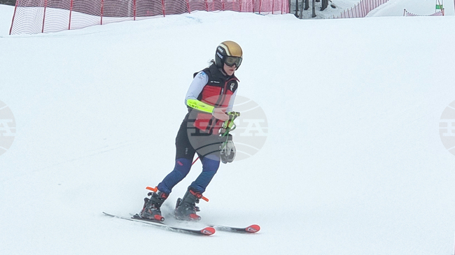 Анина Цурбриген се класира не успя да завърши първия манш на гигантския слалом по ски алпийски дисциплини на Олимпиадата в Милано-Кортина, Бриньоне води