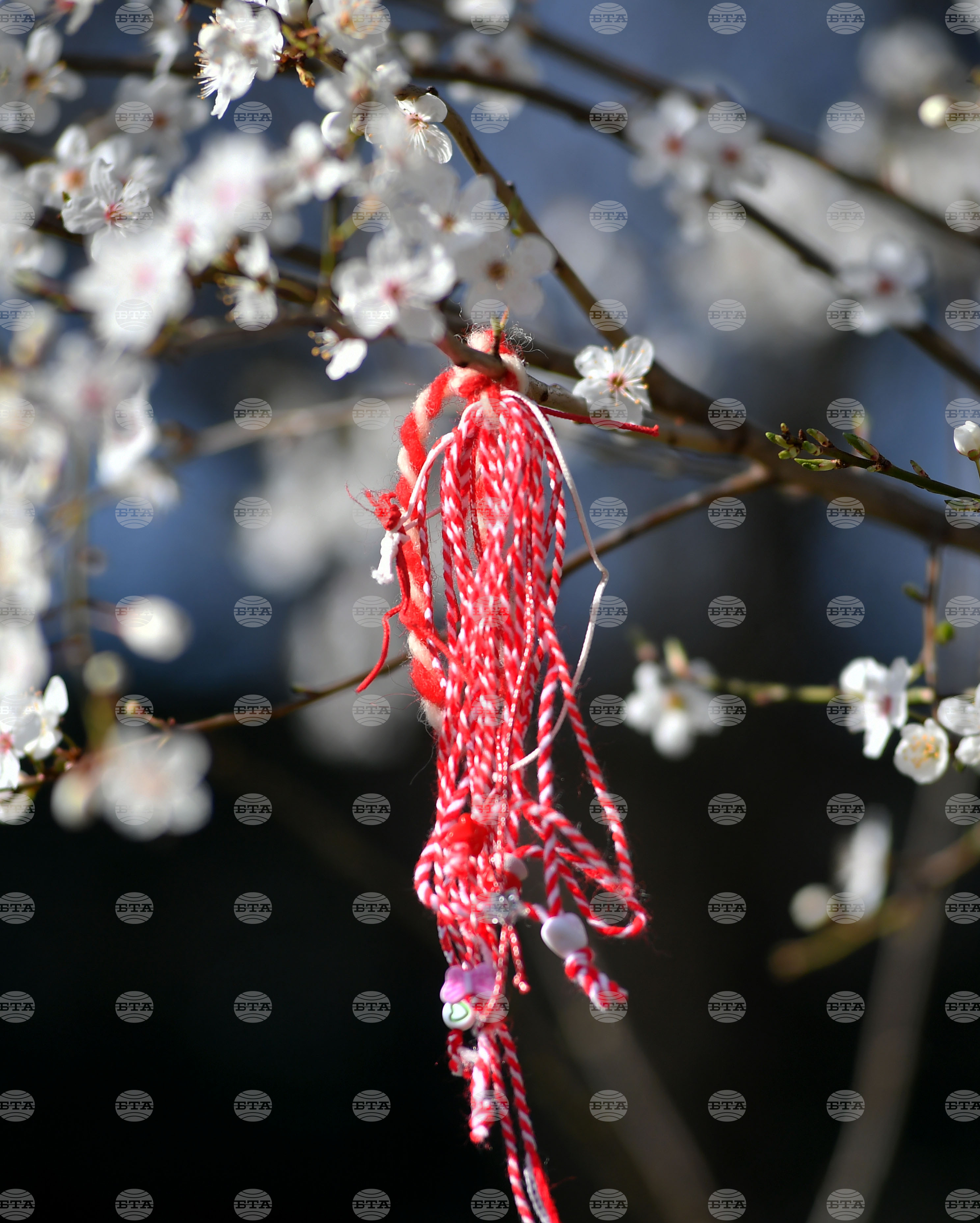 Разград - пролет - цветя