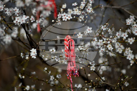 Разград - пролет - цветя