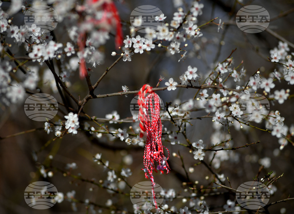 Разград - пролет - цветя