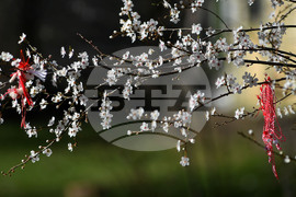 Разград - пролет - цветя