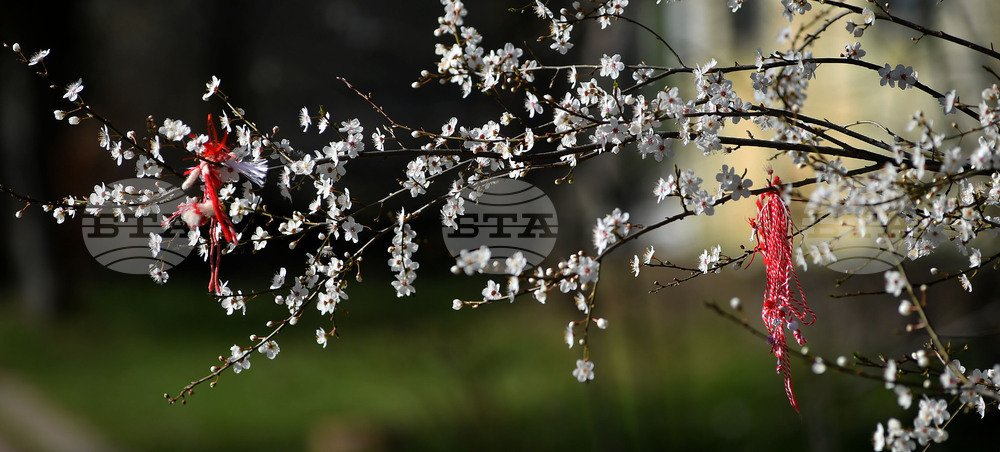 Разград - пролет - цветя