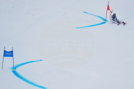 Milan Cortina Olympics Alpine Skiing