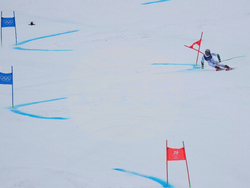 Milan Cortina Olympics Alpine Skiing