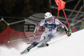 Milan Cortina Olympics Alpine Skiing