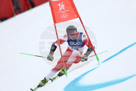Milan Cortina Olympics Alpine Skiing