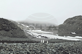 Antarctica - 34th Bulgarian Antarctic expedition - St Kliment Ohridski Bulgarian Antarctic Base