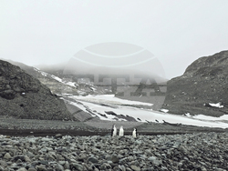 Antarctica - 34th Bulgarian Antarctic expedition - St Kliment Ohridski Bulgarian Antarctic Base