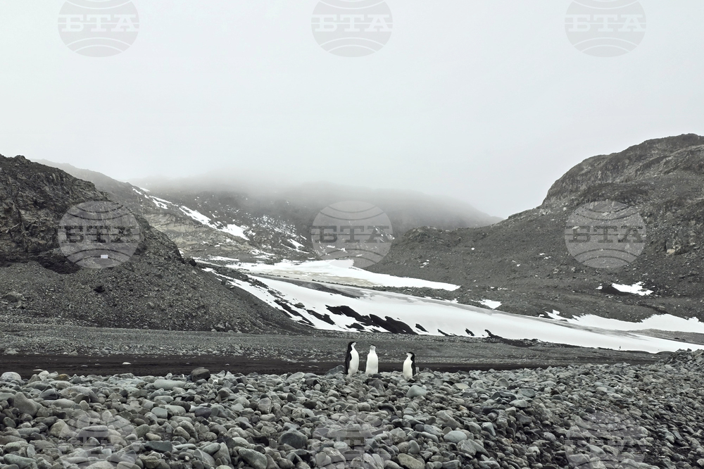Antarctica - 34th Bulgarian Antarctic expedition - St Kliment Ohridski Bulgarian Antarctic Base