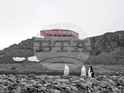 Antarctica - 34th Bulgarian Antarctic expedition - St Kliment Ohridski Bulgarian Antarctic Base