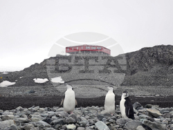 Antarctica - 34th Bulgarian Antarctic expedition - St Kliment Ohridski Bulgarian Antarctic Base