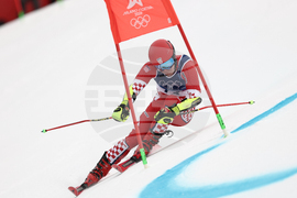 Milan Cortina Olympics Alpine Skiing