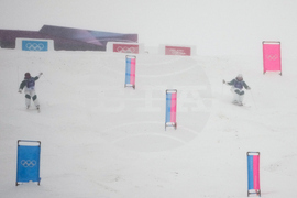 Milan Cortina Olympics Freestyle Skiing