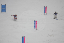 Milan Cortina Olympics Freestyle Skiing