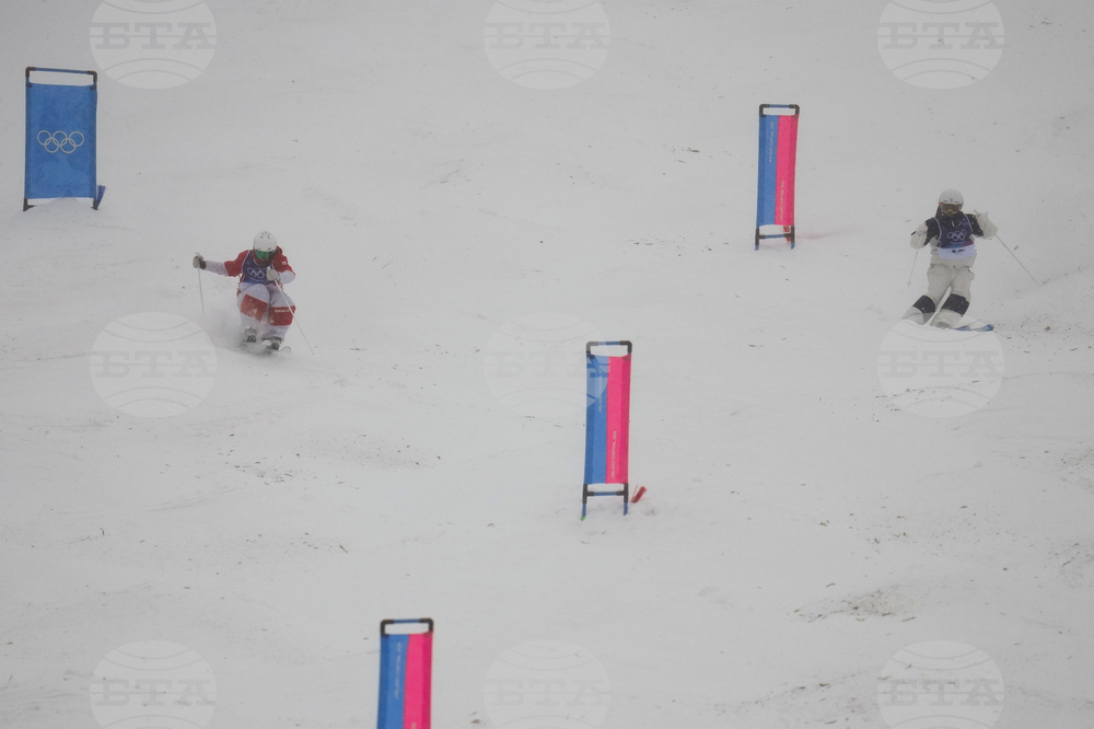 Milan Cortina Olympics Freestyle Skiing