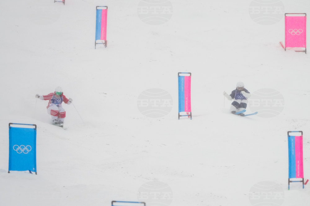Milan Cortina Olympics Freestyle Skiing