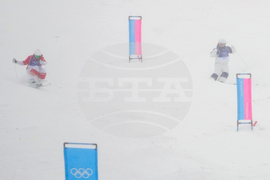 Milan Cortina Olympics Freestyle Skiing