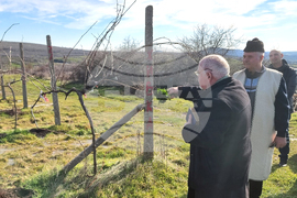 Село Сусам - Трифон Зарезан - зарязване