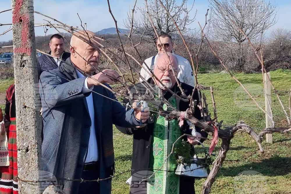 С водосвет край село Сусам, община Минерални бани, бе почетен празникът на лозаря и винаря Трифон Зарезан 