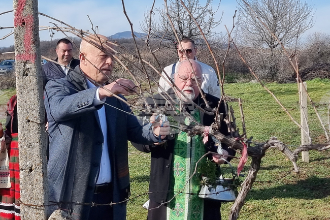 Село Сусам - Трифон Зарезан - зарязван