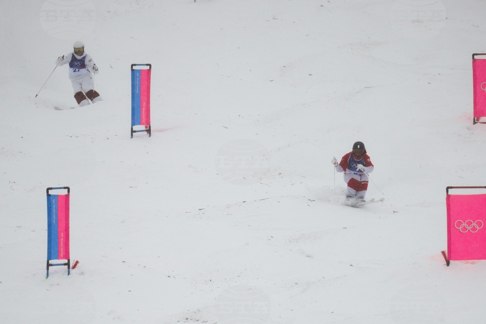 Milan Cortina Olympics Freestyle Skiing