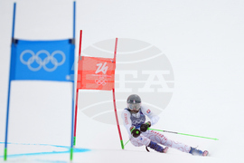 Milan Cortina Olympics Alpine Skiing