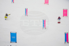 Milan Cortina Olympics Freestyle Skiing