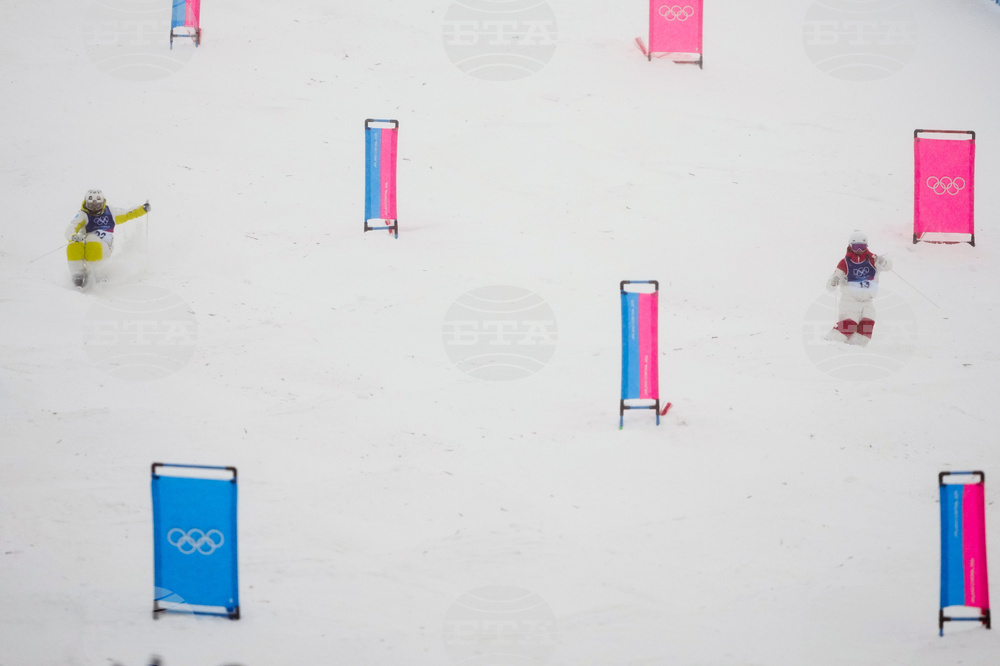 Milan Cortina Olympics Freestyle Skiing