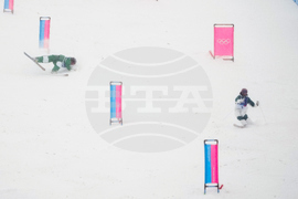 Milan Cortina Olympics Freestyle Skiing