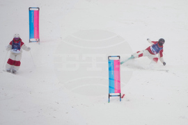 Milan Cortina Olympics Freestyle Skiing