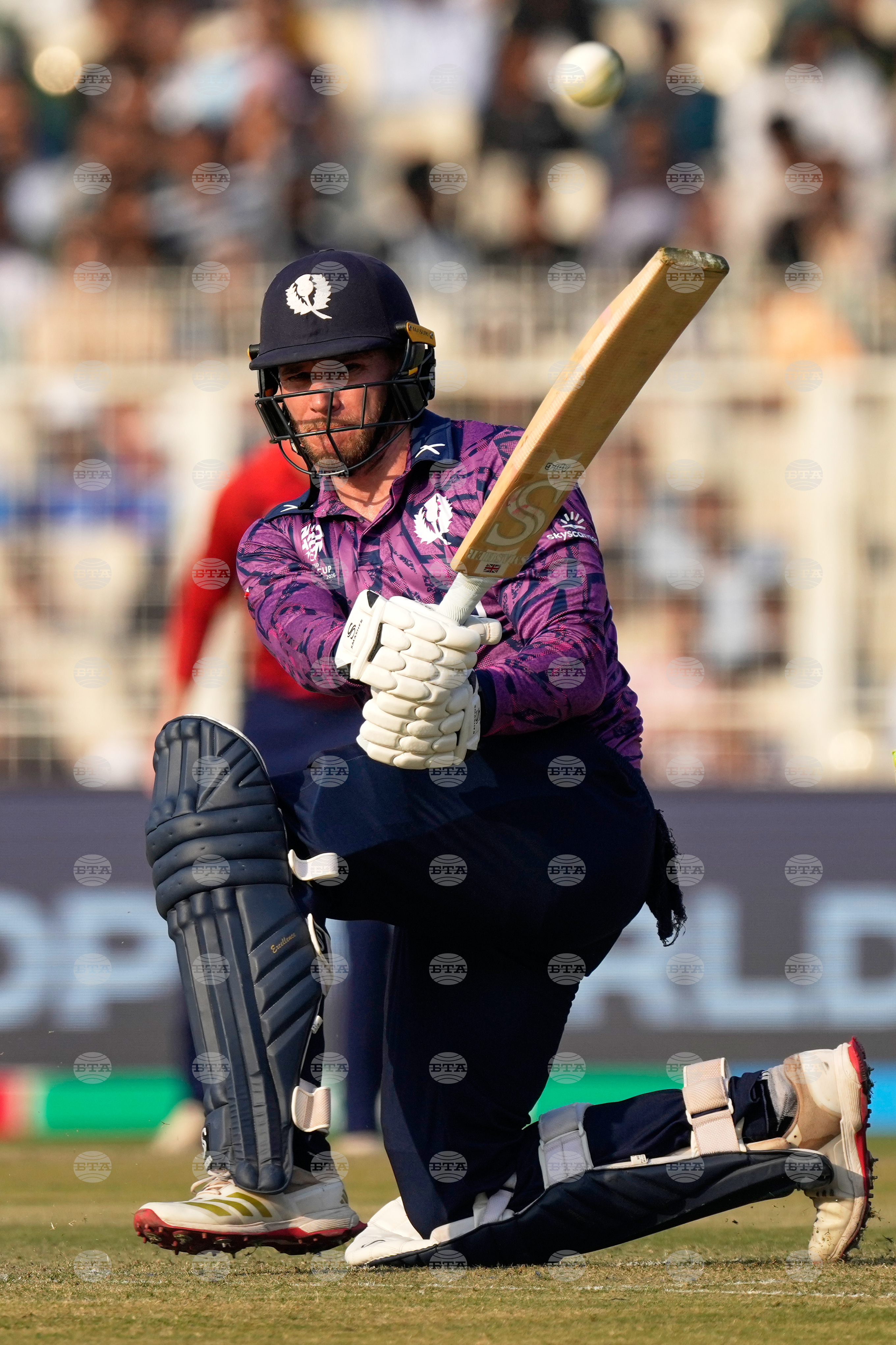 England Scotland T20 WCup Cricket