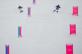 Milan Cortina Olympics Freestyle Skiing