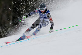 Milan Cortina Olympics Alpine Skiing