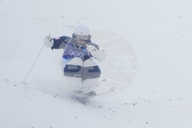 Milan Cortina Olympics Freestyle Skiing